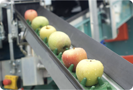 Schermafbeelding 2023-01-04 om 13.20 1