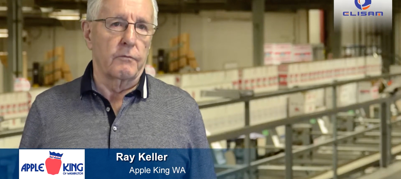 apple video apple king