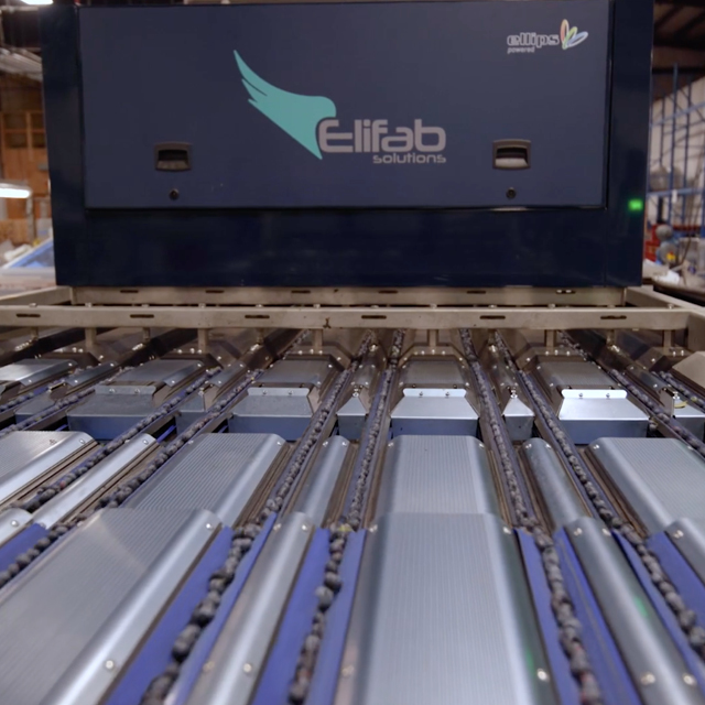 blueberry grading throughput