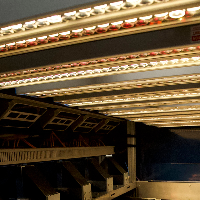 cherry tomato sorting quality