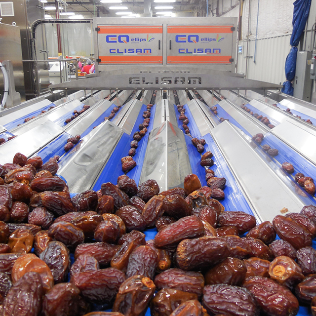 dates grading throughput