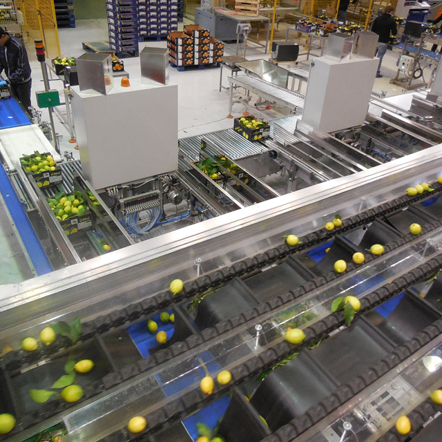 images lemon 640x640px