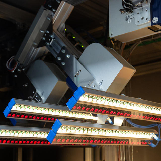 lemon lime grading quality