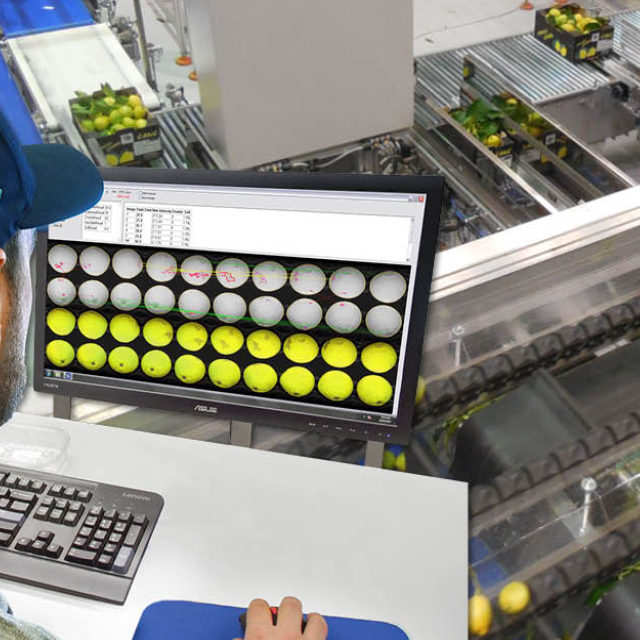 lemon lime most value