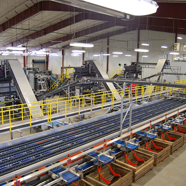 onion grading integrated