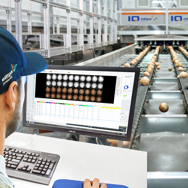 onion grading most value