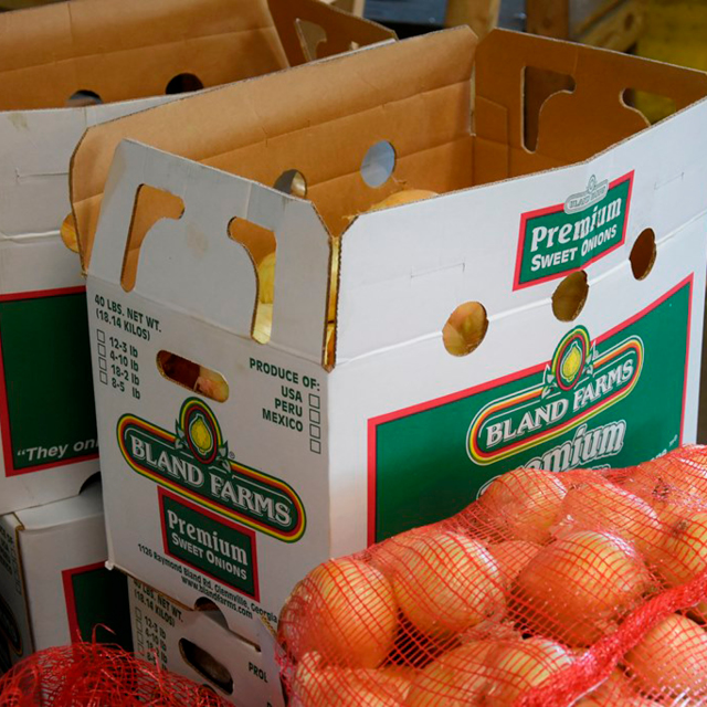 onion grading packed 2