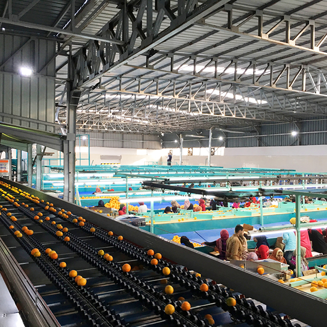 orange grading integrated