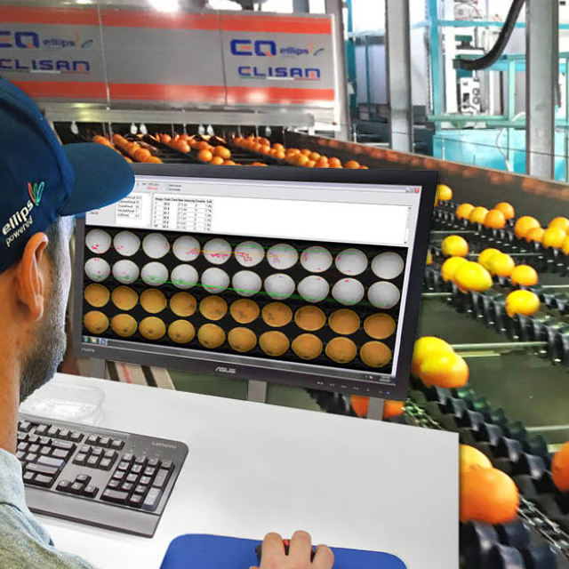 orange grading most value