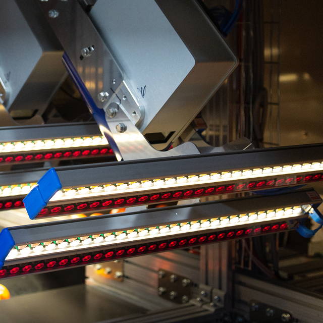 orange grading quality