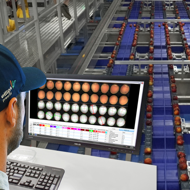 peach sorting most value