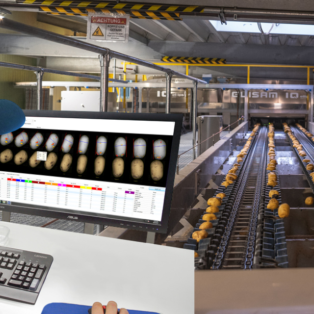 potato grading most value