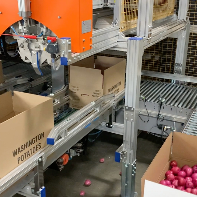 potato grading packing machine