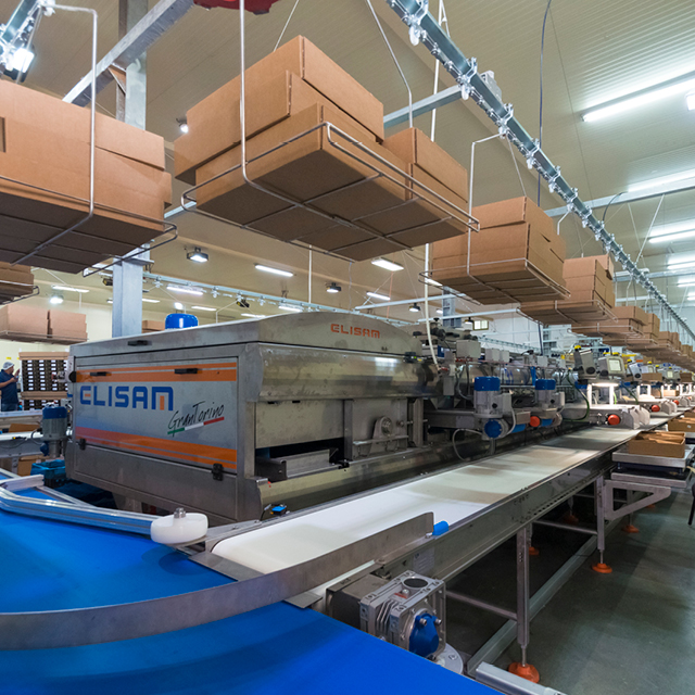 dates grading packing machine