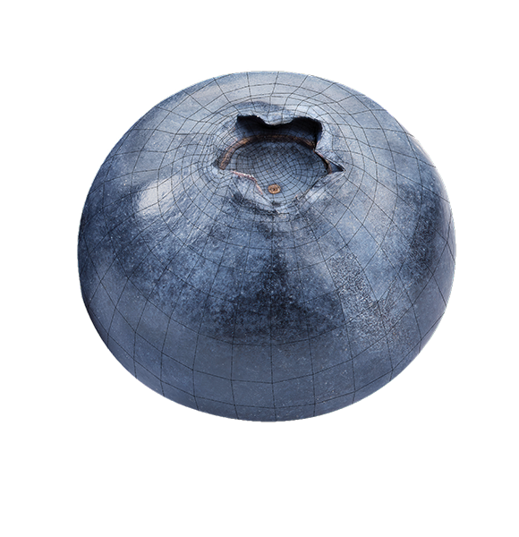 Blueberry Grading Machine