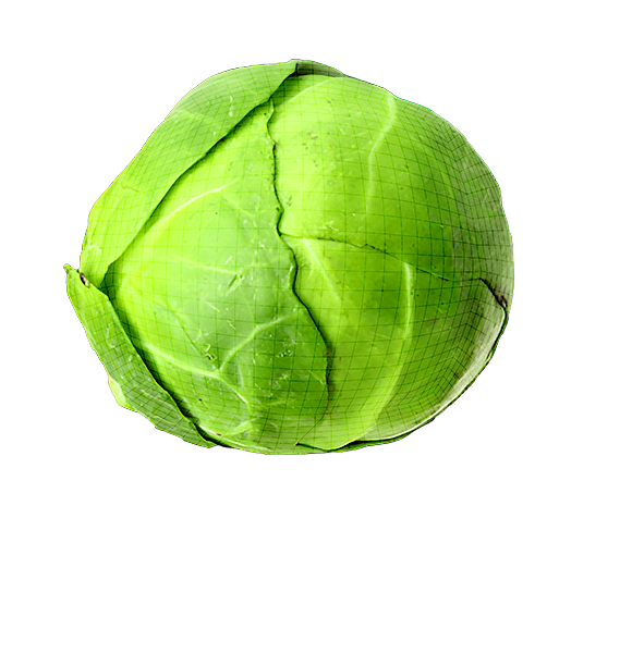 Brussels Sprouts Grading Machine