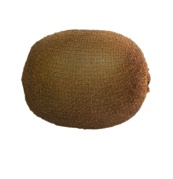 Kiwi Grading Machine