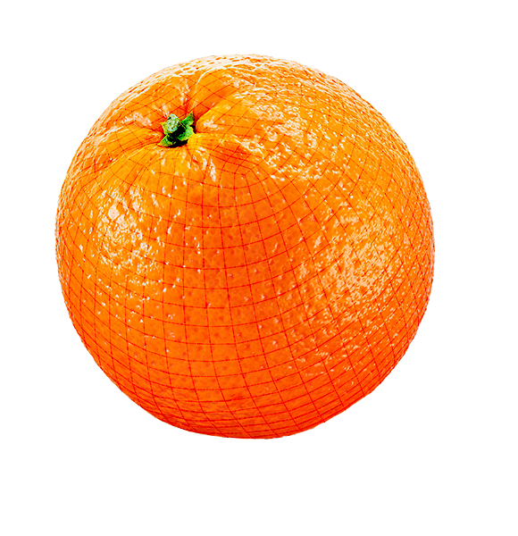 Orange Grading Machine