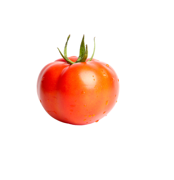 Tomato grading machine